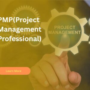 PMP(Project Management Professional)