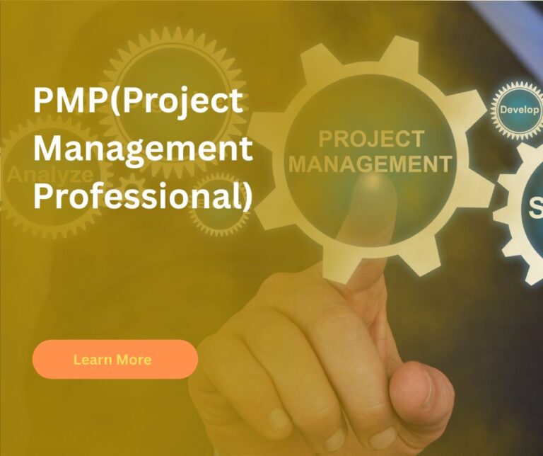 PMP(Project Management Professional)