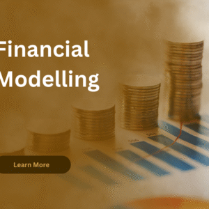 FM(Financial Modelling)